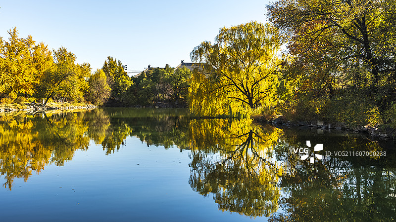 北京海淀北京大学深秋五彩斑斓天然图画图片素材