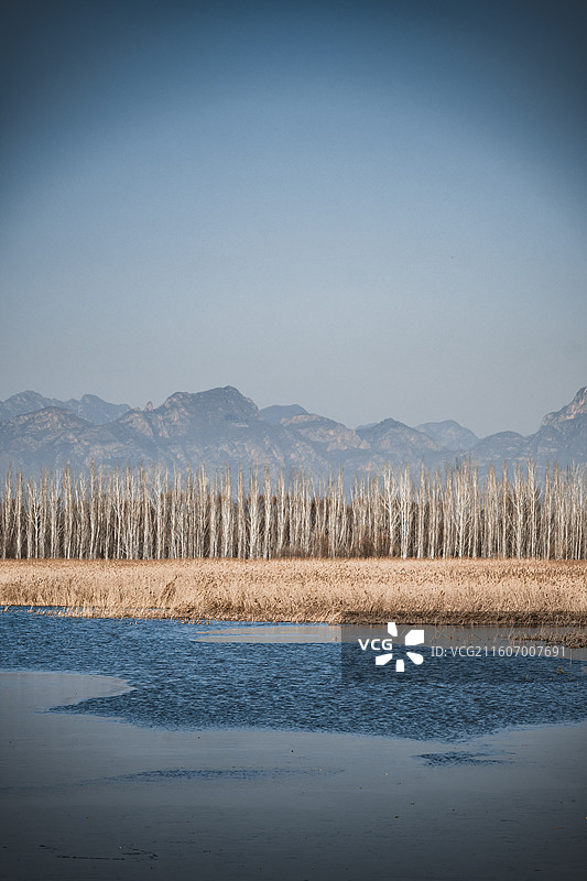 北京野鸭湖图片素材