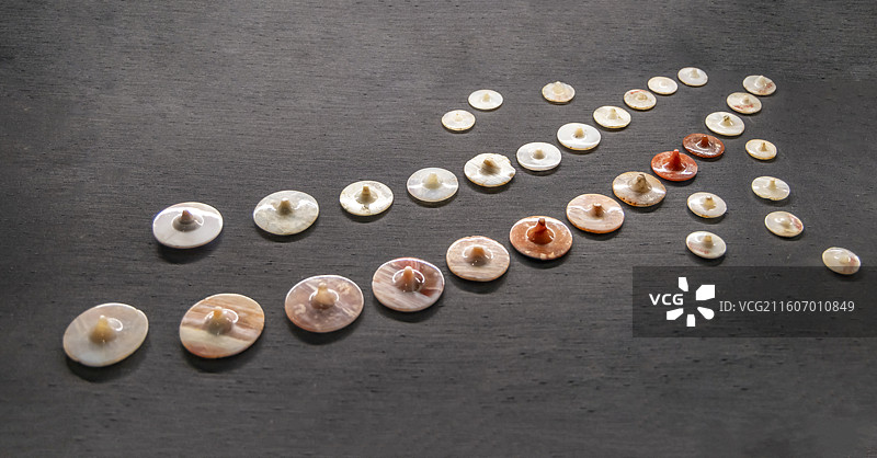 玛瑙扣饰 西汉 云南晋宁石寨山遗址 中国国家博物馆图片素材