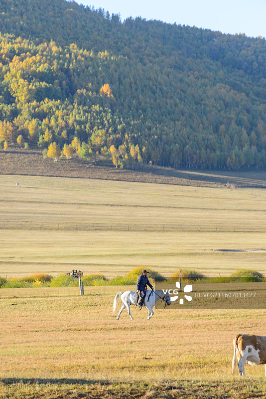 内蒙古赤峰乌兰布统草原牧区秋色图片素材