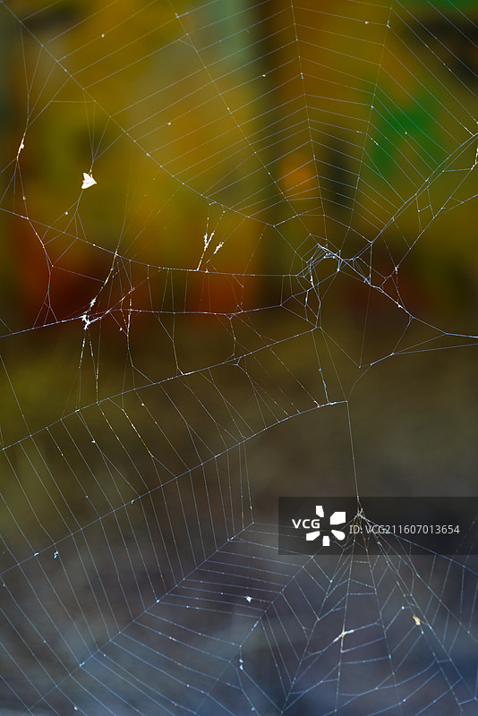 江苏省南通市，海安市，废弃游乐园图片素材