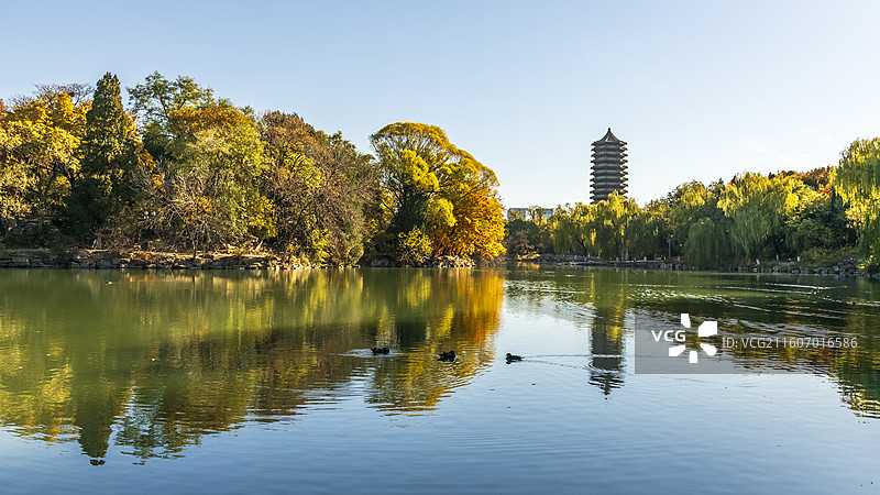 北京海淀北京大学深秋五彩斑斓天然图画图片素材