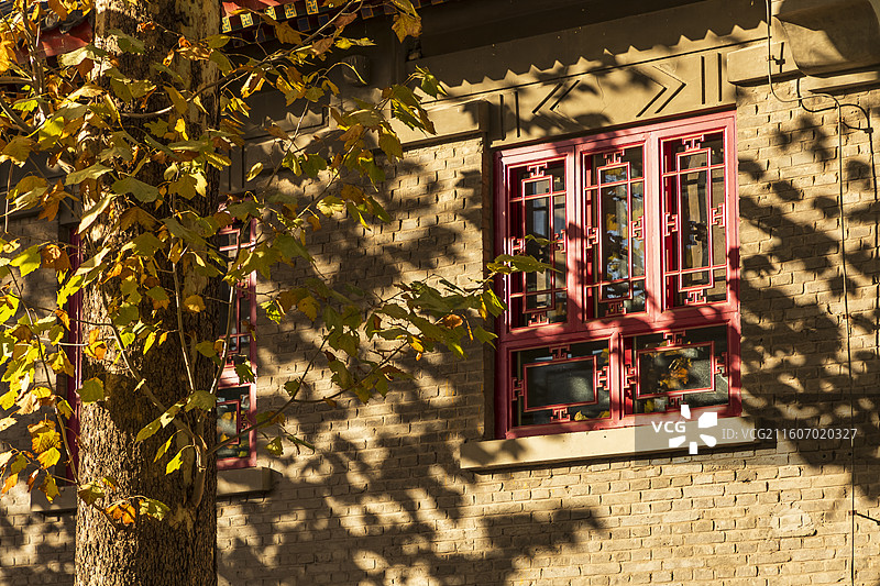 北京海淀北京大学深秋五彩斑斓天然图画图片素材