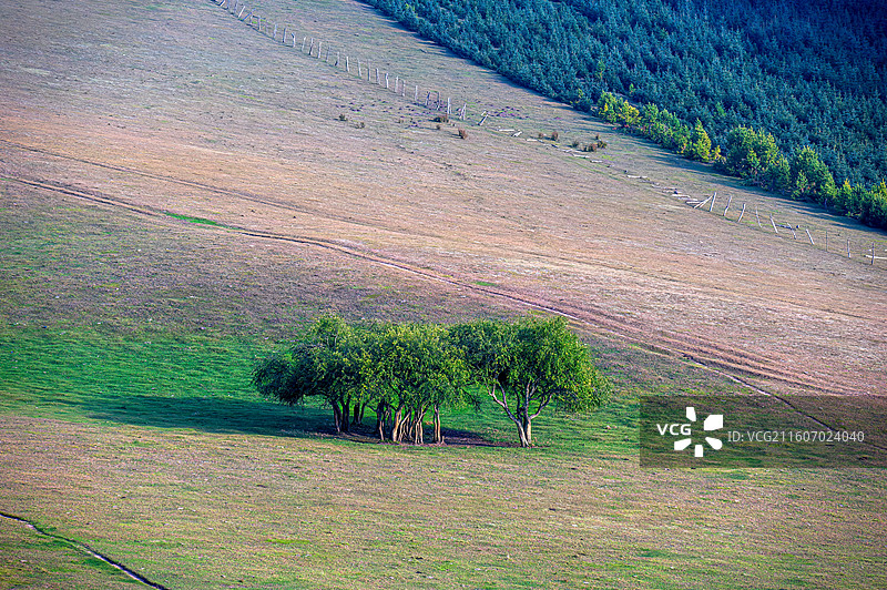 乌兰布统的秋天图片素材