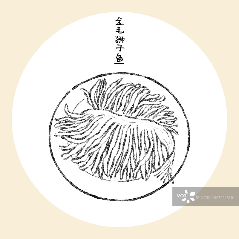 河北美食插画-金毛狮子鱼图片素材