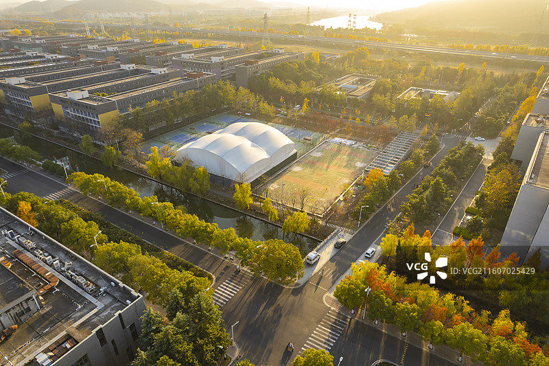 江苏南京大学仙林校区秋天的校园银杏建筑风格航拍图片素材