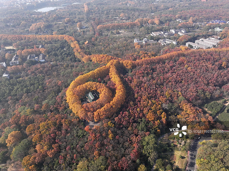 航拍中国江苏南京钟山风景名胜区美龄宫“金色项链”色彩斑斓风景如画图片素材