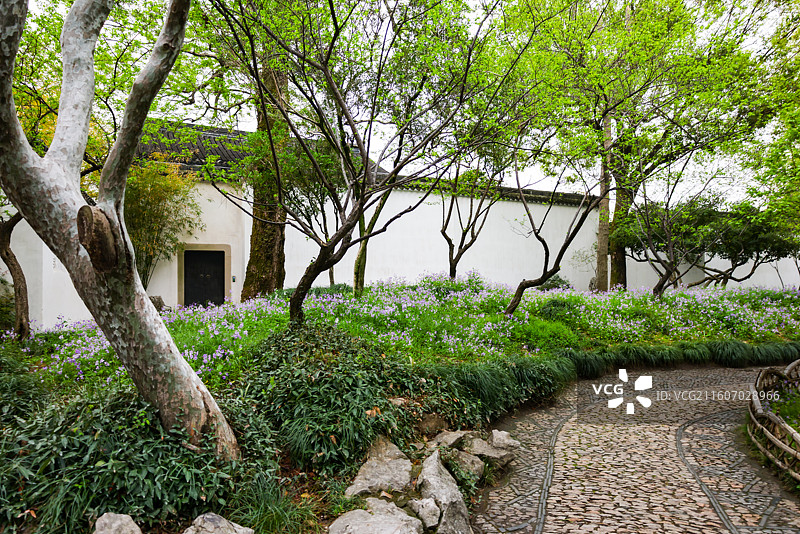 苏州园林拙政园春天风光组图图片素材