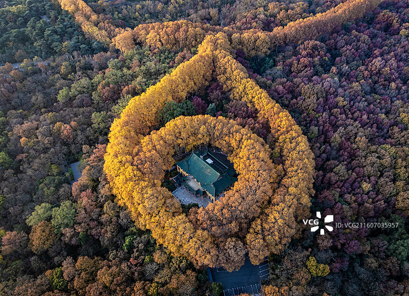 紫金山之心图片素材