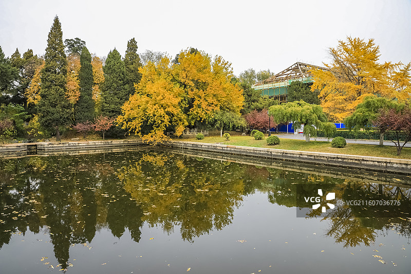 北京海淀北京大学深秋五彩斑斓天然图画图片素材