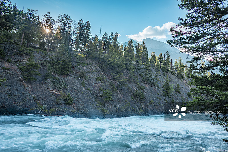 加拿大班夫，弓河瀑布湍急，针叶树环绕，山峦蓝天相映。图片素材