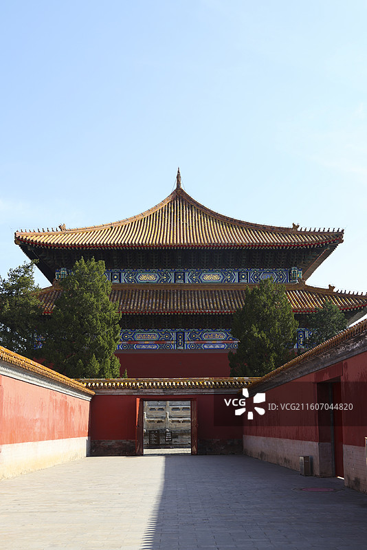 北京太庙秋天建筑柏树风光图片素材