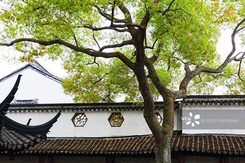 苏州园林拙政园春天小景风光组图图片素材