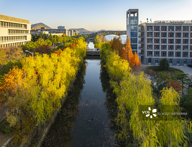 江苏南京大学仙林校区秋天的校园银杏建筑风格航拍图片素材
