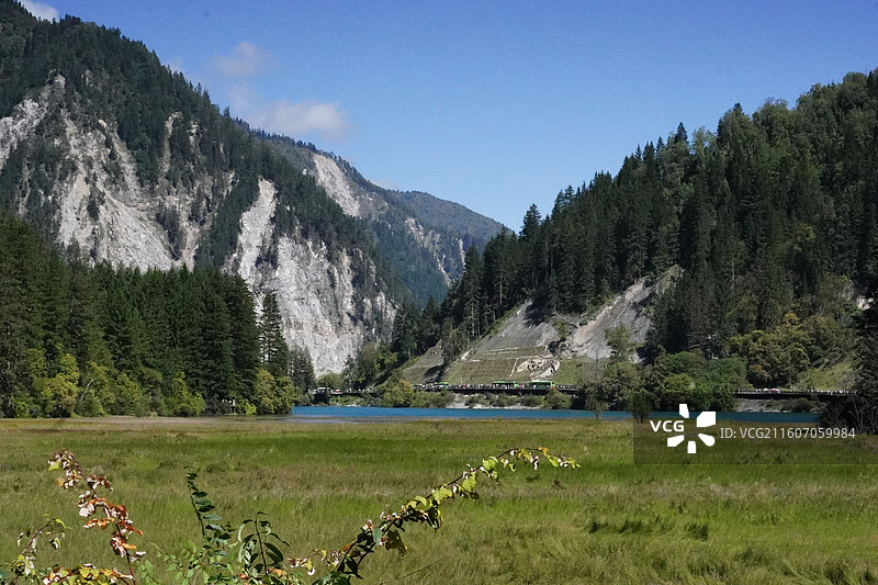九寨沟箭竹海图片素材