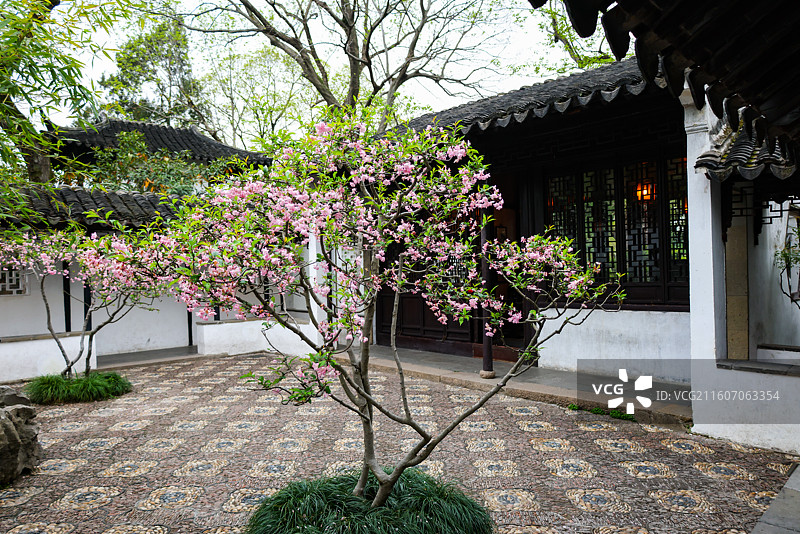 苏州园林拙政园春天小景风光组图图片素材