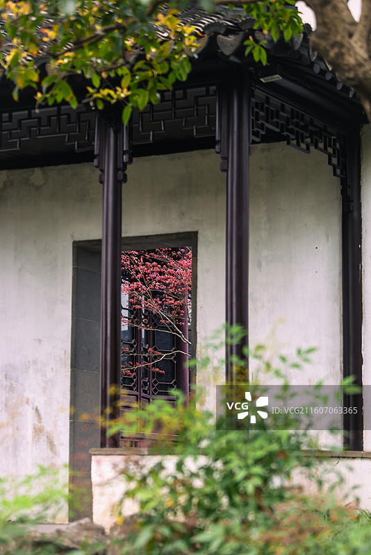 苏州园林拙政园春天风光组图图片素材