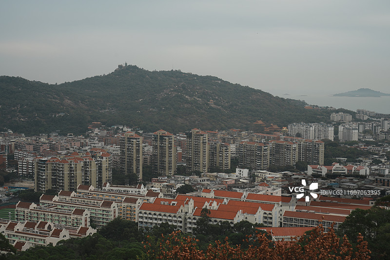 厦门园林植物园南门风景图片素材