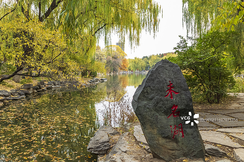 北京海淀北京大学深秋五彩斑斓天然图画图片素材