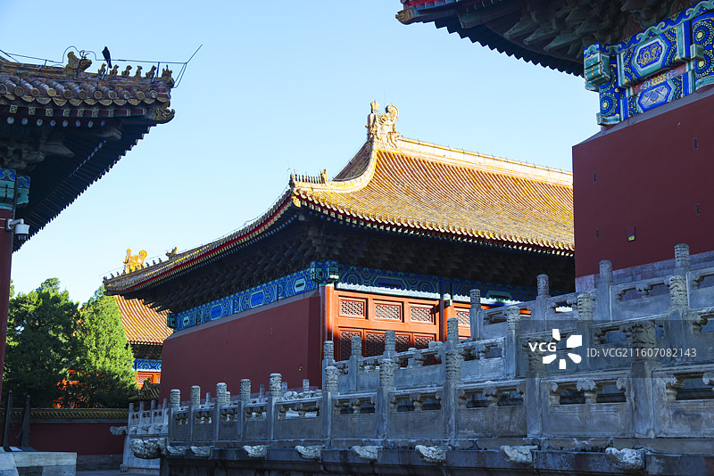 北京太庙秋天建筑柏树风光图片素材