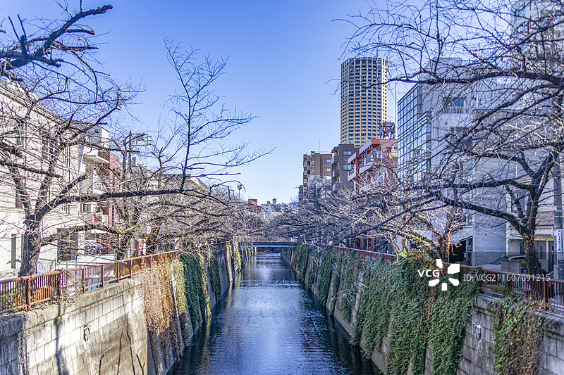日本东京惠比寿的河流风光图片素材