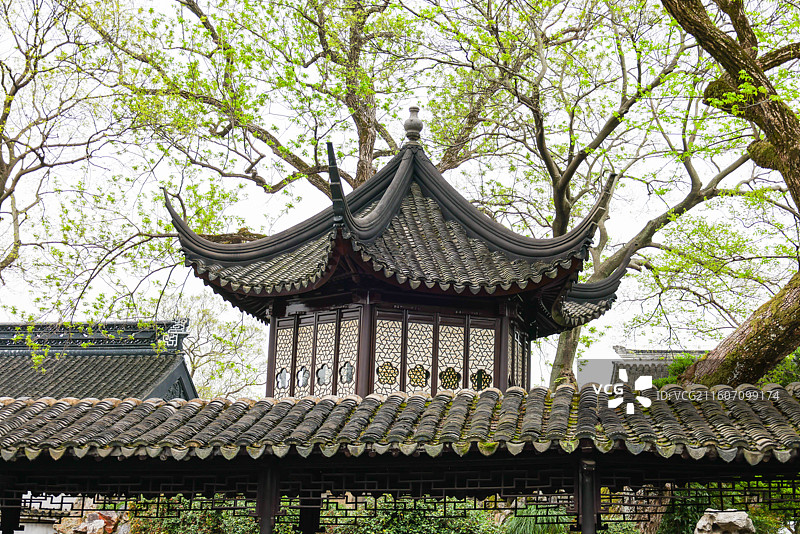 苏州园林拙政园春天风光组图图片素材