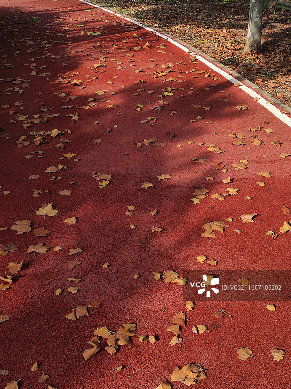 公园跑道上的落叶图片素材