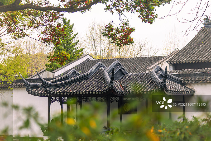 苏州园林拙政园春天风光组图图片素材