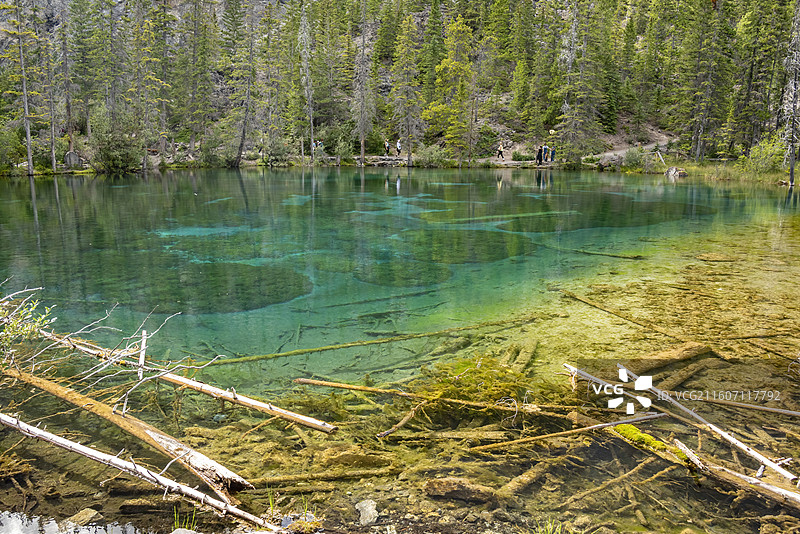 加拿大落基山脉Canmore镇Grassi湖，碧绿湖水清澈见底，水下树干清晰可见，森林山脉环绕图片素材