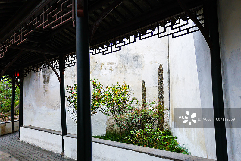 苏州园林拙政园春天风光组图图片素材