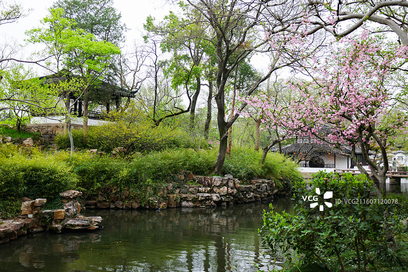 苏州园林拙政园春天小景风光组图图片素材