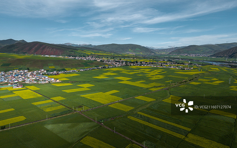 【门源秋色】图片素材