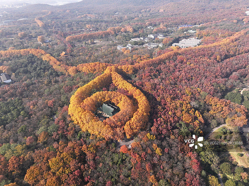 航拍中国江苏南京钟山风景名胜区美龄宫“金色项链”色彩斑斓风景如画图片素材
