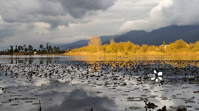 云南丽江新华村野鸭湖图片素材