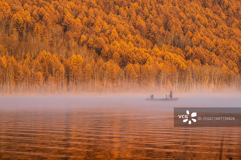 深秋内蒙古阿尔山国家森林公园，清晨乌苏浪子湖晨雾升腾，有人划船捕鱼，兴安落叶松在朝阳映照下呈现橙黄图片素材