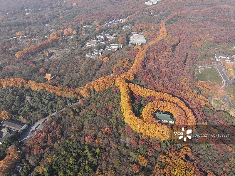航拍中国江苏南京钟山风景名胜区美龄宫“金色项链”色彩斑斓风景如画图片素材