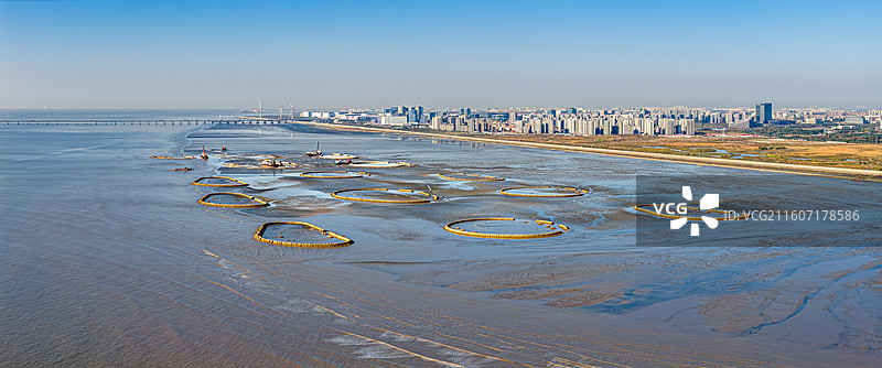 生态泡 潮间带圆形人工围堰浅水湿地 保护候鸟迁徙栖息环境 上海临港海洋生态修复 浦东南汇东滩湿地图片素材