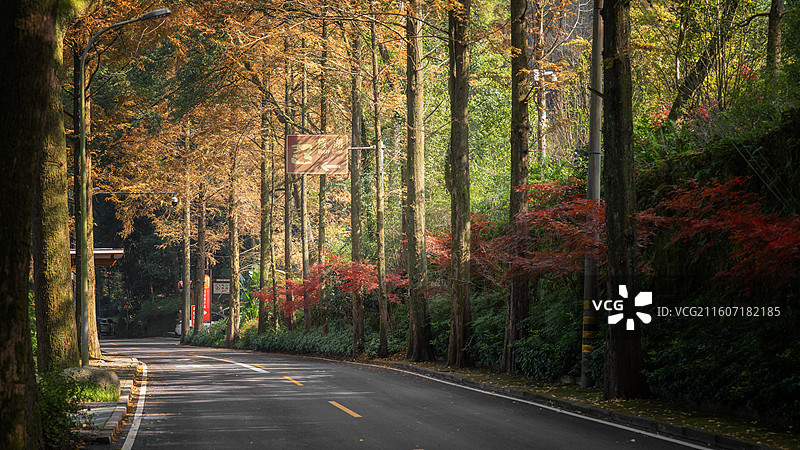 重庆缙云山黛湖秋色图片素材
