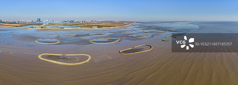 生态泡 潮间带圆形人工围堰浅水湿地 保护候鸟迁徙栖息环境 上海临港海洋生态修复 浦东南汇东滩湿地图片素材