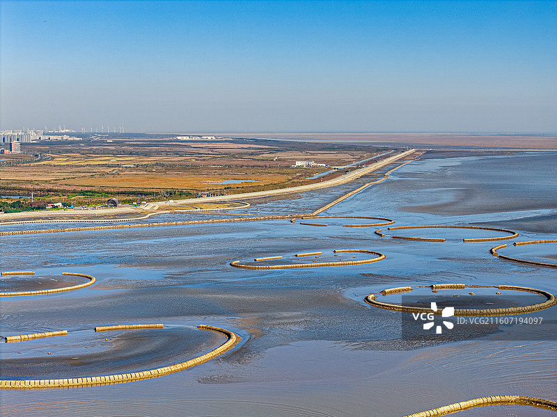 生态泡 潮间带圆形人工围堰浅水湿地 保护候鸟迁徙栖息环境 上海临港海洋生态修复 浦东南汇东滩湿地图片素材