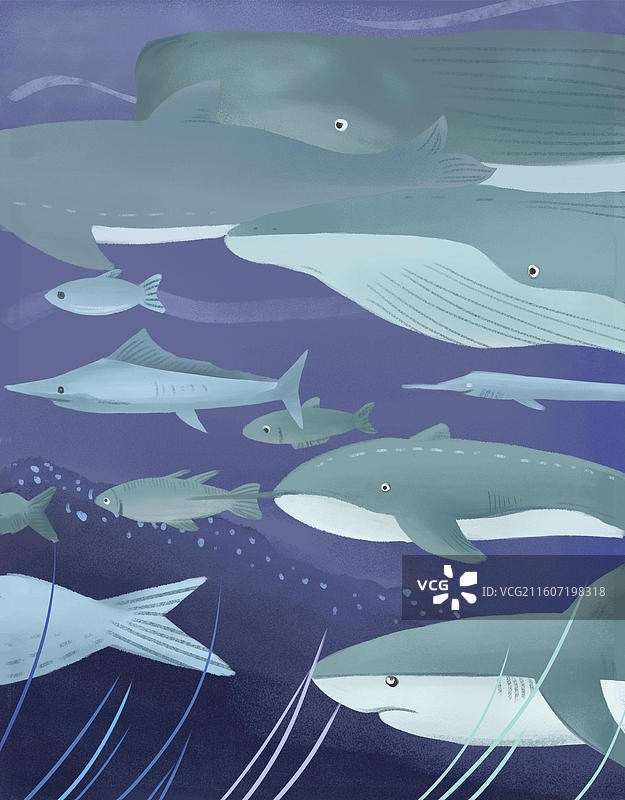 海底世界图片素材