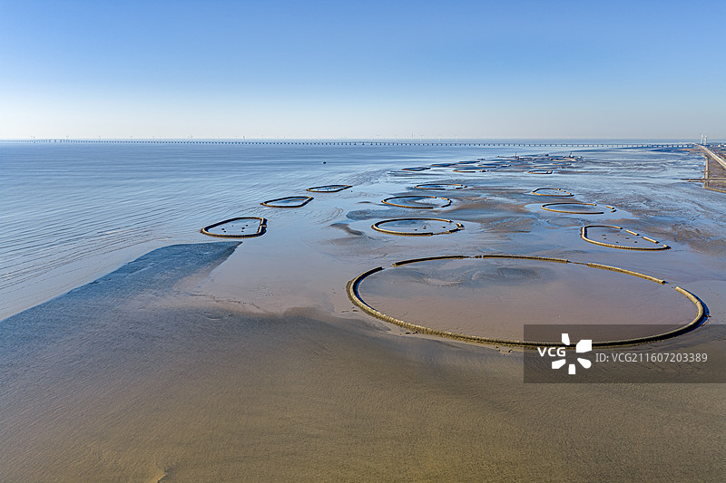 生态泡 潮间带圆形人工围堰浅水湿地 保护候鸟迁徙栖息环境 上海临港海洋生态修复 浦东南汇东滩湿地图片素材