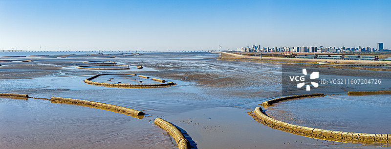 生态泡 潮间带圆形人工围堰浅水湿地 保护候鸟迁徙栖息环境 上海临港海洋生态修复 浦东南汇东滩湿地图片素材