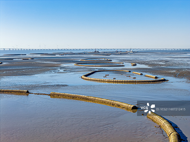 生态泡 潮间带圆形人工围堰浅水湿地 保护候鸟迁徙栖息环境 上海临港海洋生态修复 浦东南汇东滩湿地图片素材