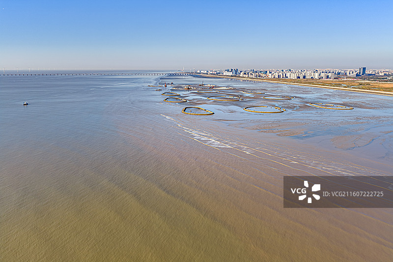 生态泡 潮间带圆形人工围堰浅水湿地 保护候鸟迁徙栖息环境 上海临港海洋生态修复 浦东南汇东滩湿地图片素材