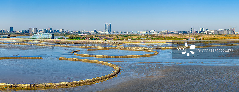 生态泡 潮间带圆形人工围堰浅水湿地 保护候鸟迁徙栖息环境 上海临港海洋生态修复 浦东南汇东滩湿地图片素材
