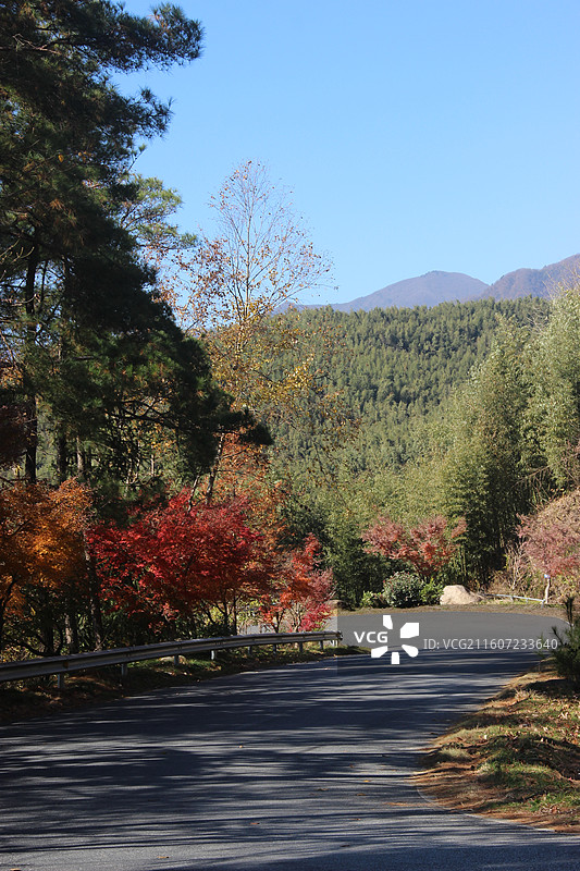杭州 临安 神龙川风景区 临川古道 户外 徒步 旅游 风景图片素材