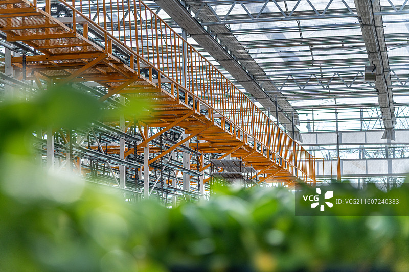 新疆 乌鲁木齐 米东区  育苗工厂 温室大棚图片素材