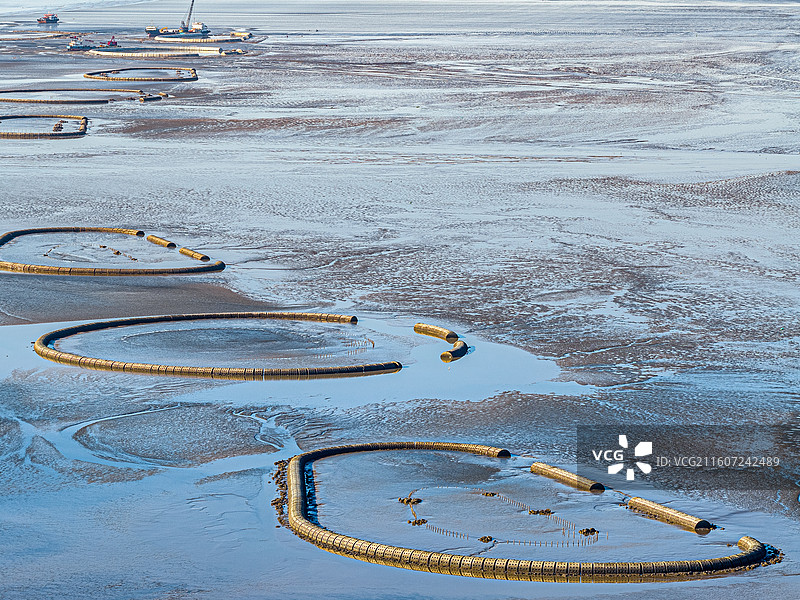 生态泡 潮间带圆形人工围堰浅水湿地 保护候鸟迁徙栖息环境 上海临港海洋生态修复 浦东南汇东滩湿地图片素材