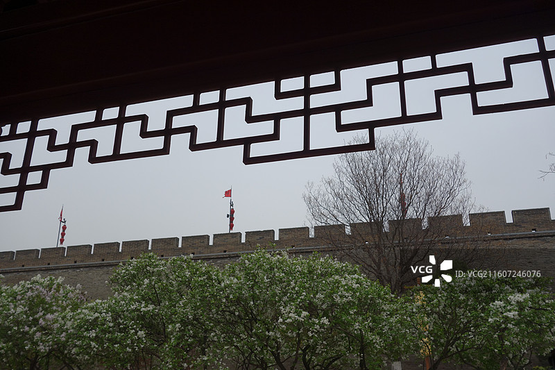 陕西西安明城墙西安城墙：西门外安定门外环城公园白色丁香花盛开图片素材